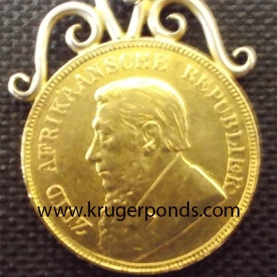 1898 Kruger Pond in Jewelry